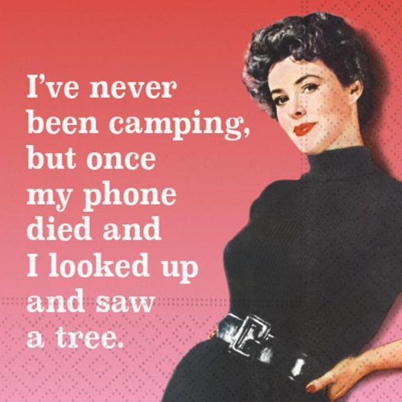 Fun - Picture 16 of 16